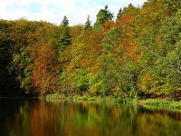 /album/galeria-de-fotos/outono-jpg/